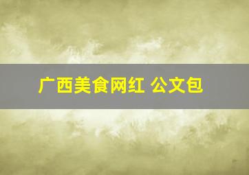 广西美食网红 公文包